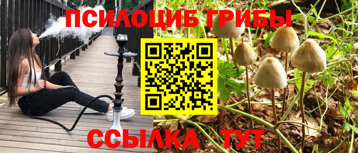 МЕФ кристаллы  Alpha PVP СК кристаллы  Наркошоп  Грозный  Вход с VPN  ГАШИШ  ГАШИШ  МАРИХУАНА  МДМА 